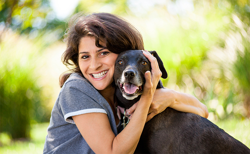 Centro Veterinario Las americas